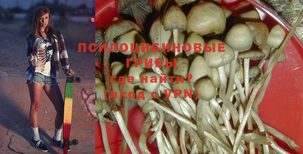 ALPHA PVP Нестеровская