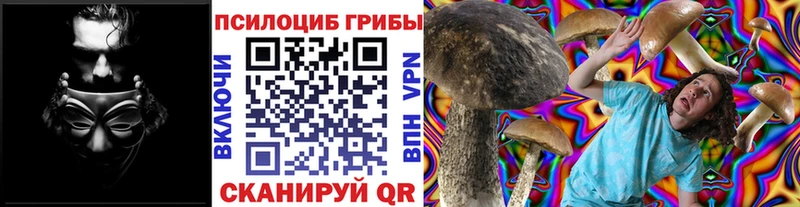 мега как войти  Пересвет  Псилоцибиновые грибы GOLDEN TEACHER 